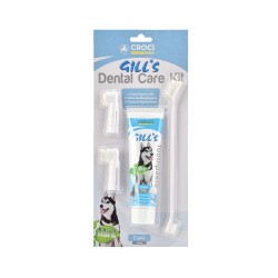KIT DE SOINS DENTAIRES GILL'S