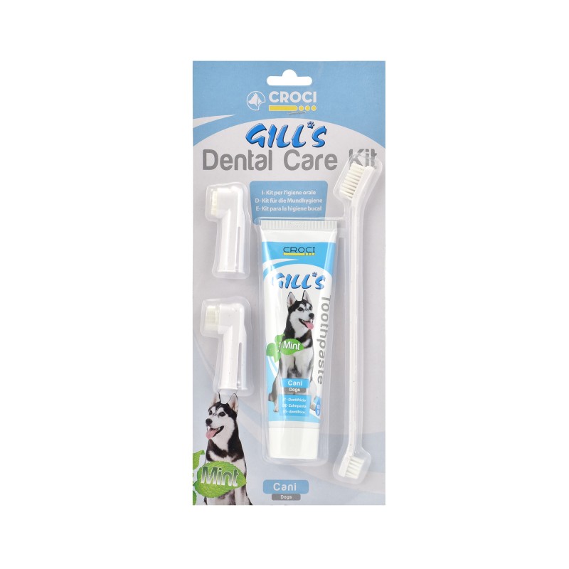 GILL'S DENTAL CARE KIT