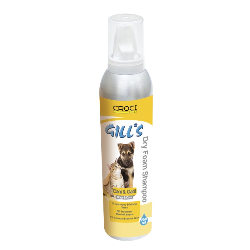GILL'S CHAMPU ESPUMA SECA