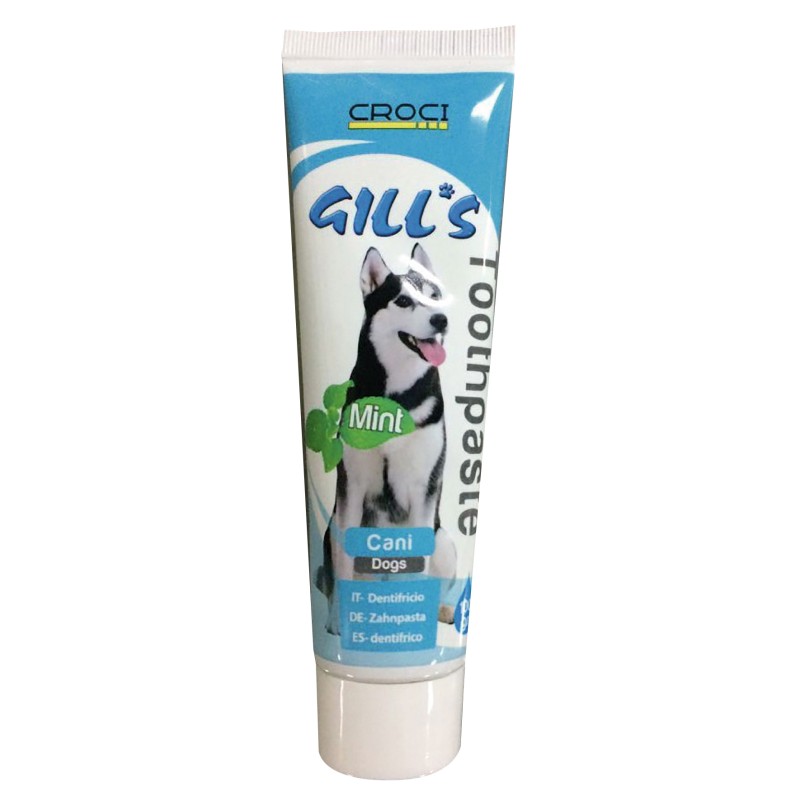 GILL'S DENTIFRICIO GUSTO MENTA