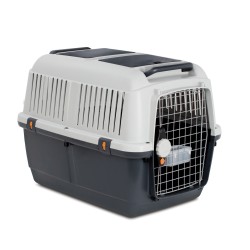 TRANSPORTADORA BRACCO 2
