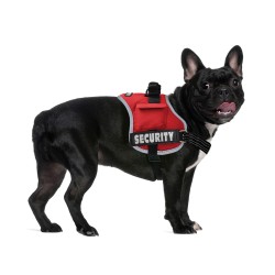 TECHNICAL HARNESS 2
