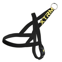 ARNES X-TRM