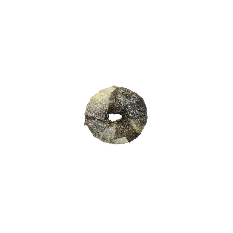 BBQ PARTY DONUT CON PESCADO