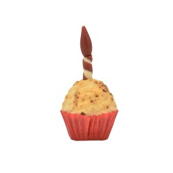 PARTY SNACK CUPCAKE 65g MOQ 3 units