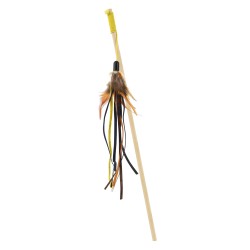 BÂTON AVEC PLUME