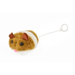 SPEEDY MOUSE