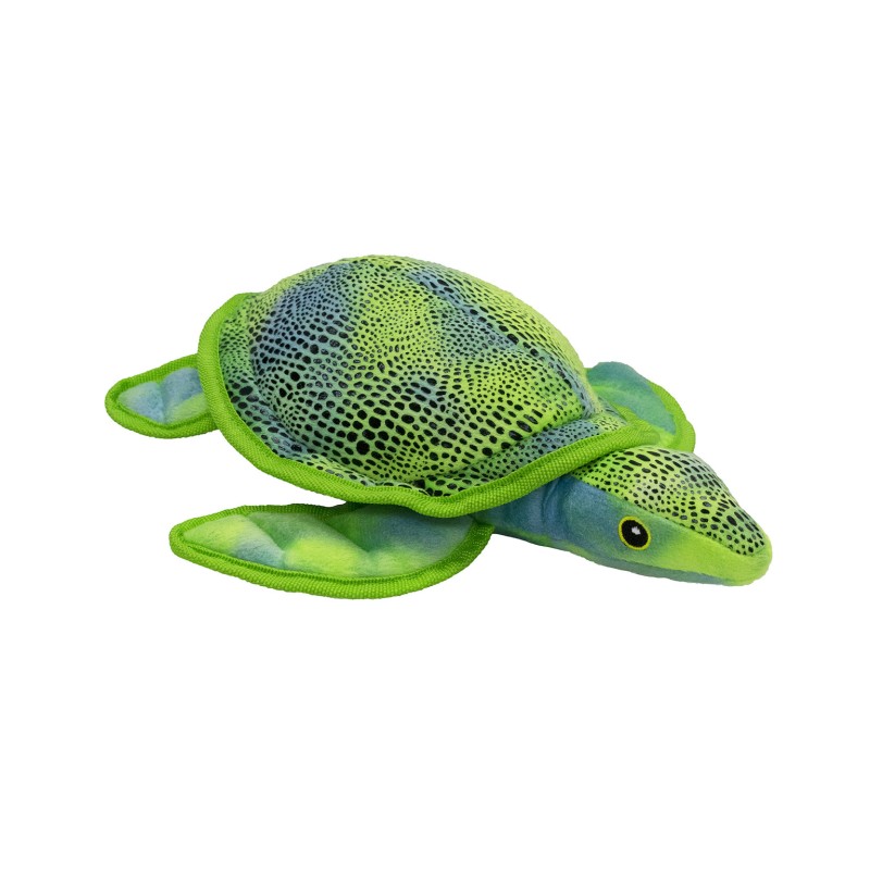 TORTUGA CARIBE