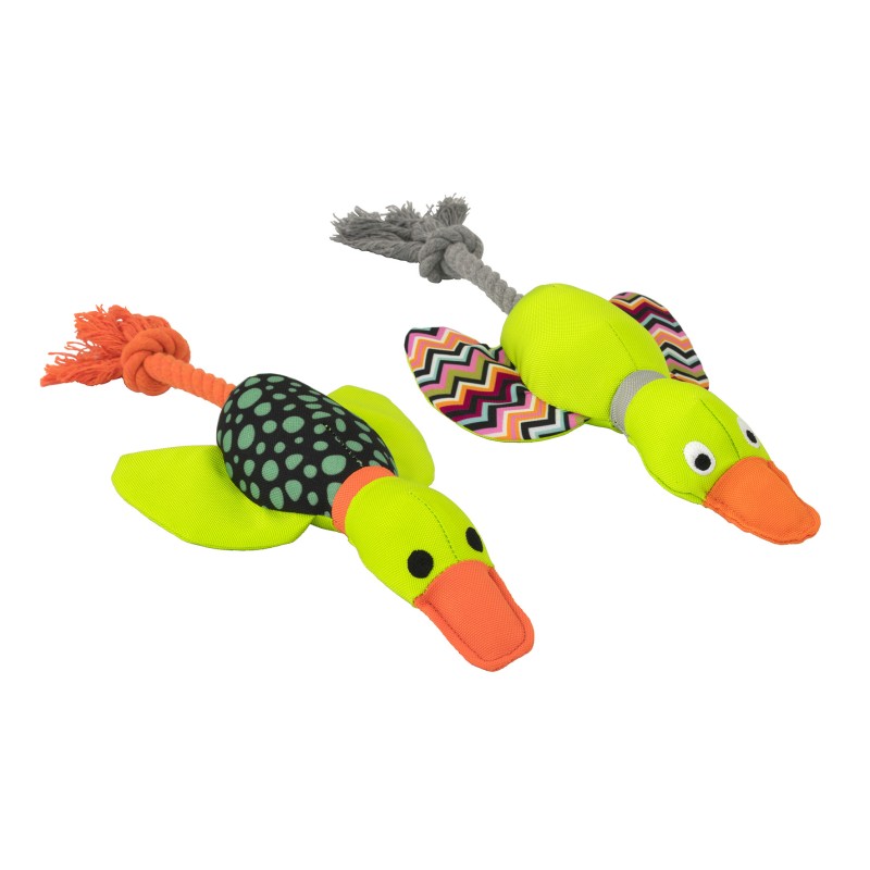 CANARD HARRY AVEC CORDE POUR LES DENTS