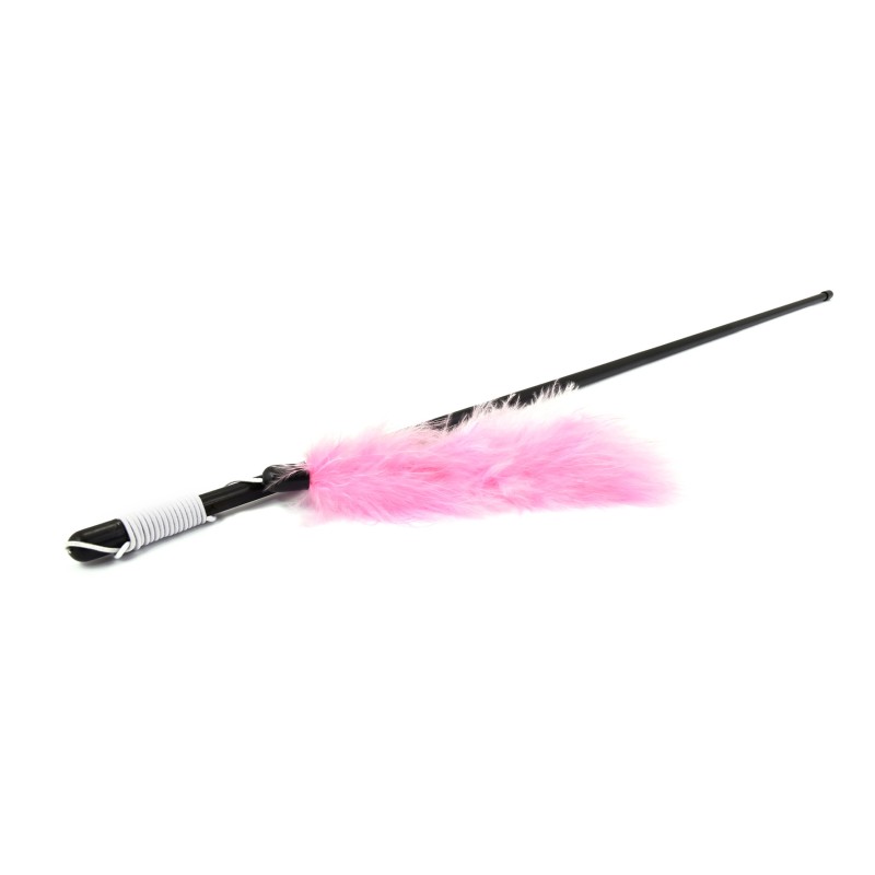 BÂTON AVEC PLUME EN COULEUR 48 cm QMC 4 p.