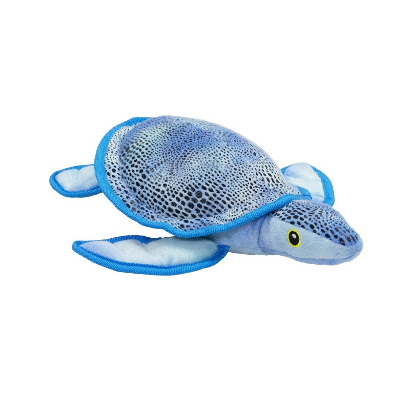 TARTARUGA CARAIBI