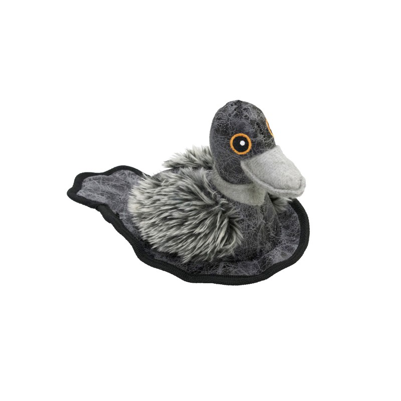 SCOTT DUCK