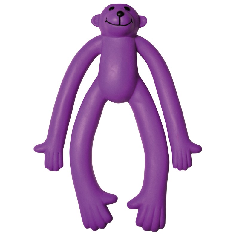 SINGE EN LATEX