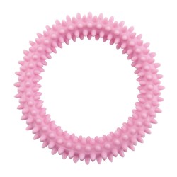 MINI TPR HOOP