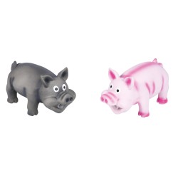 LATEX PIG