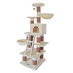 SAVANNA CAT PARADISE