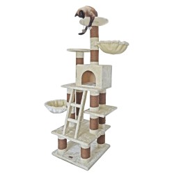 SAVANNA CAT PARADISE 2