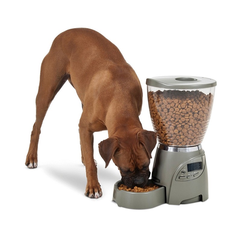DISTRIBUTEUR CROQUETTES AUTOMATIQUE PORTION ADÉQUATE