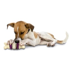 BUSY BUDDY BRISTLE BONE 2