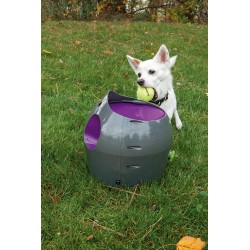 PETSAFE AUTOMATISCHER BALLWERFER 2