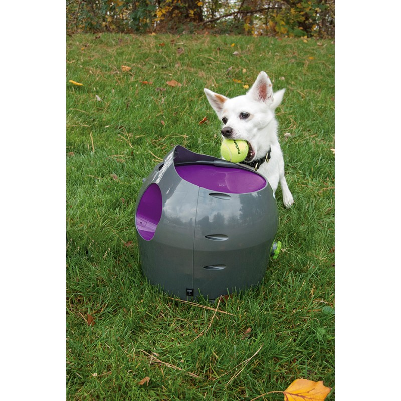 PETSAFE LANZADOR AUTOMÁTICO DE PELOTAS