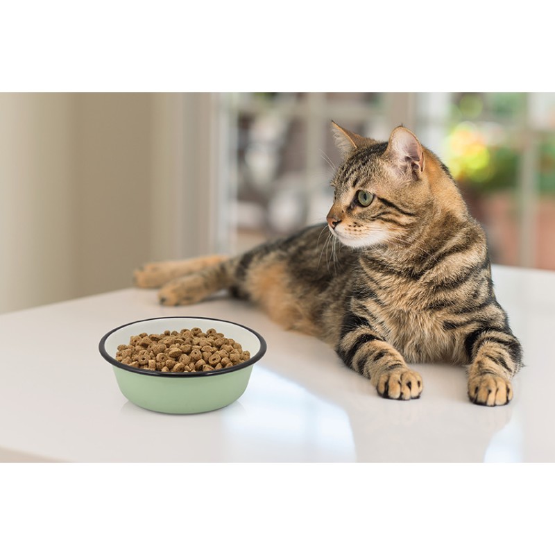 COMEDERO INOX CAT SHADOW