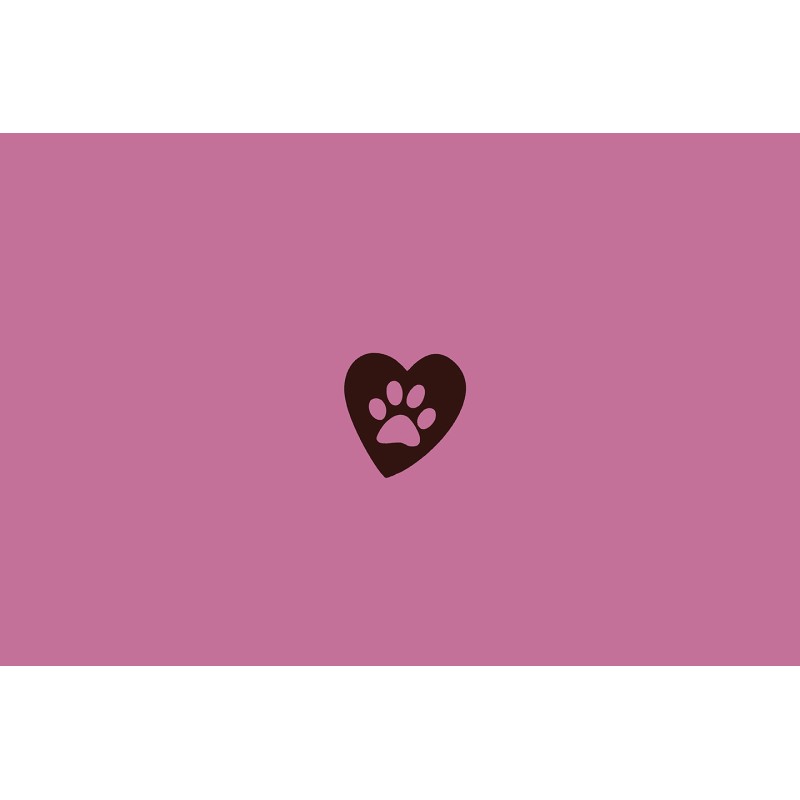 GAMELLE EN ACIER INOXYDABLE LOVE POW