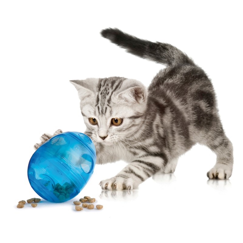 FUNKITTY EGG-CERSIZER