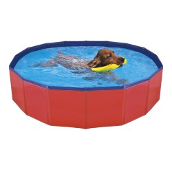PISCINA PARA PERROS