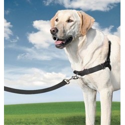 EASY WALK IMBRACATURA 2