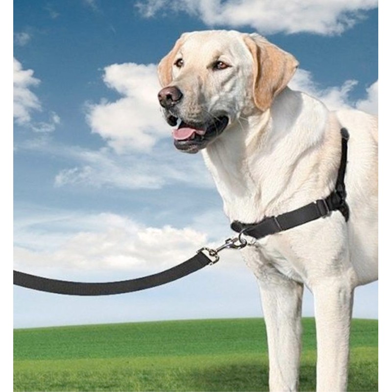 EASY WALK IMBRACATURA