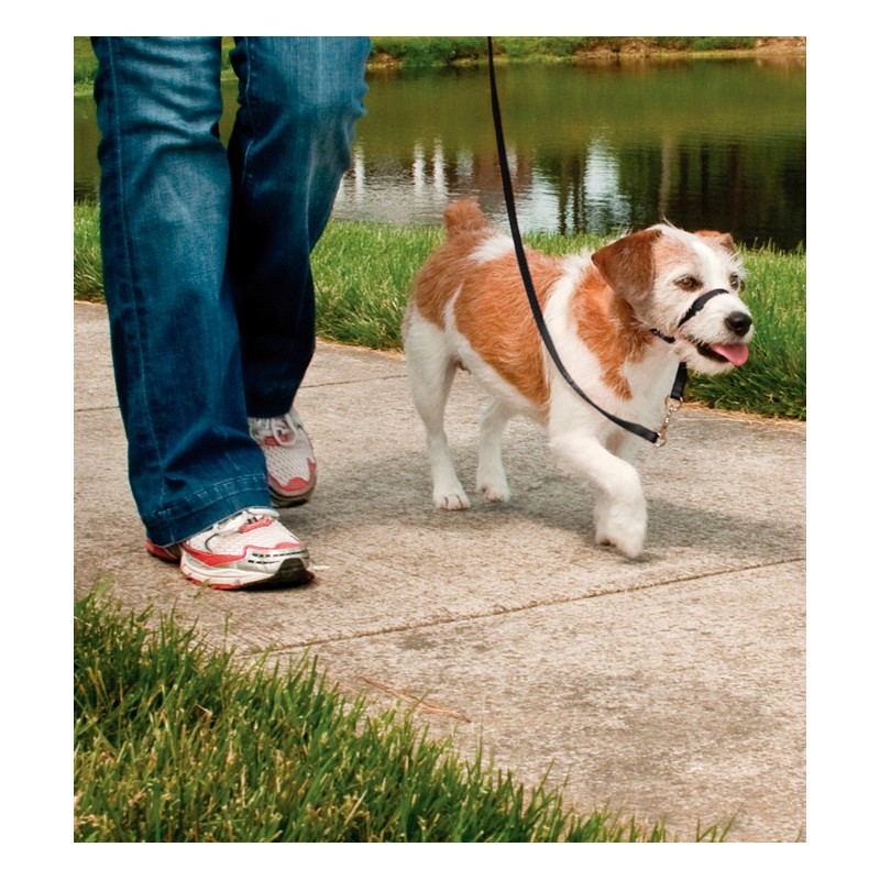 EASY WALK COLLARE A CAVEZZA