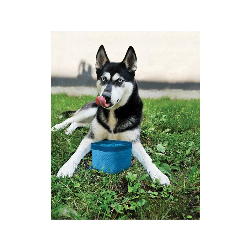 KURGO ZIPPY BOWL