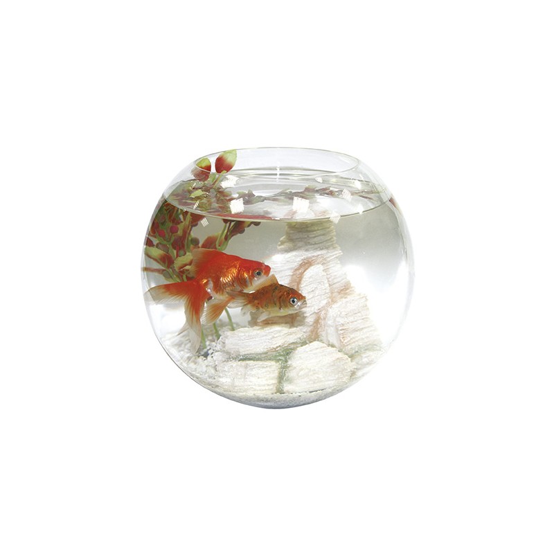 GLASS GLOBE FOR AQUARIUM 25 DAY