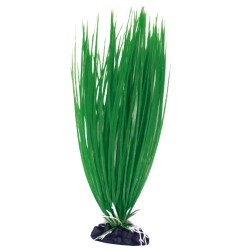 PLANTA DE PLÁSTICO ACORUS