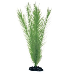 PLANTA PLASTICO BLYXA