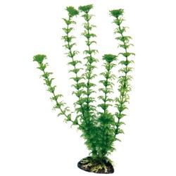 PLASTIC CABOMBA PLANT