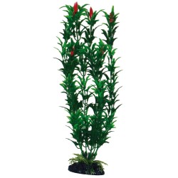 PLASTIC EGERIA PLANT