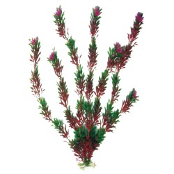 PLANTA PLASTICO FLORA