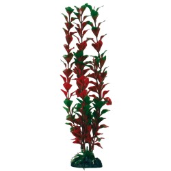 PLANTA PLASTICO LUDWIGIA