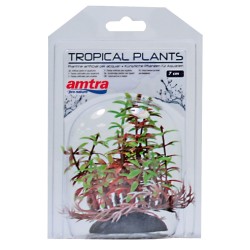 TROPICAL PLANT