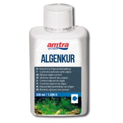 AMTRA ALGEN-KUR