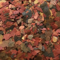 AMTRA PRO FLAKE 2