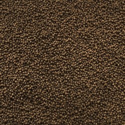 AMTRA PRO NATURAL 2