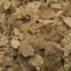AMTRA PRO NATURAL 2