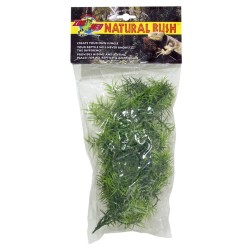 PLASTIC CASUARINA PLANT