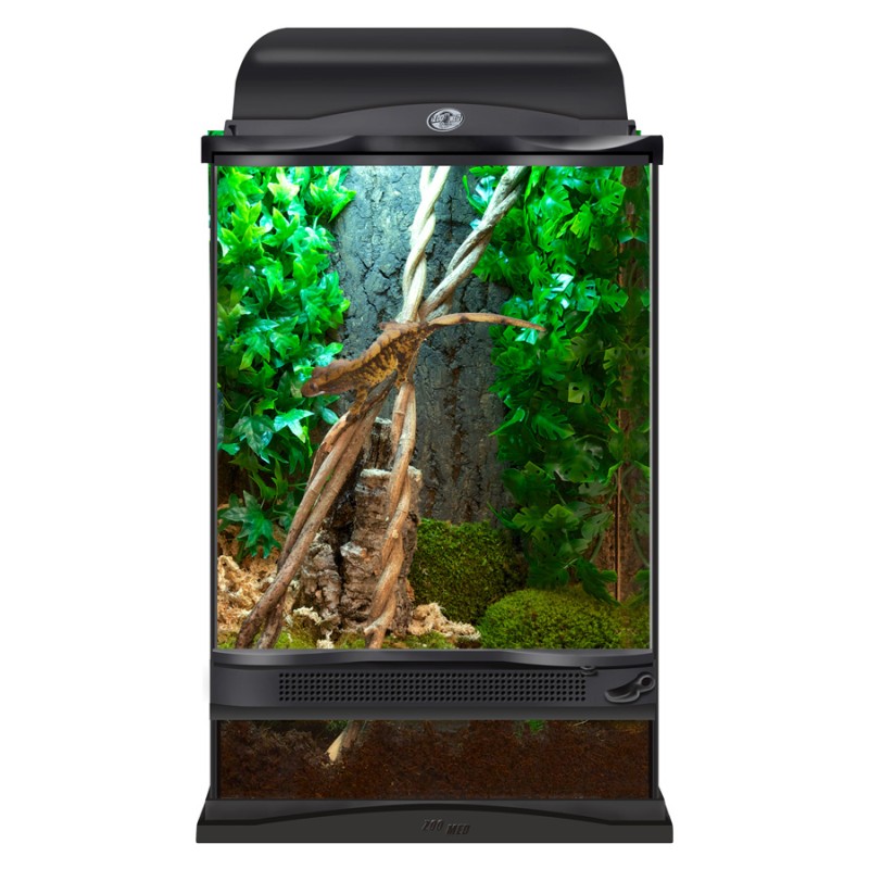 ZOOMED TERRARIUM NT