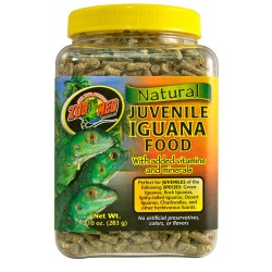 COMIDA IGUANA JOVEM