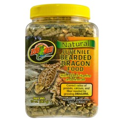 ADULT BEARDED DRAGON