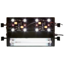 ÉCRAN LED REPTISUN
